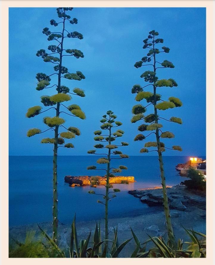Villa La Rucchetta 알게로 외부 사진
