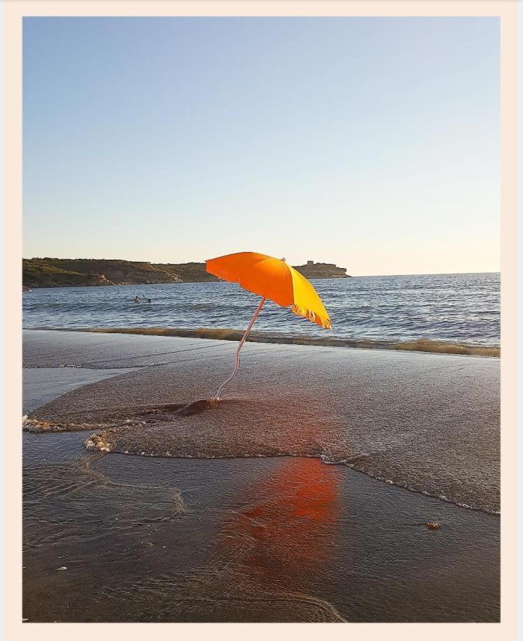 Villa La Rucchetta 알게로 외부 사진