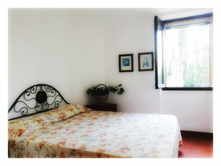 Villa La Rucchetta 알게로 외부 사진