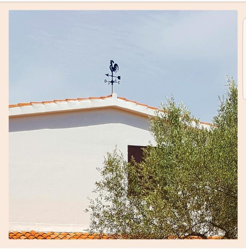 Villa La Rucchetta 알게로 외부 사진