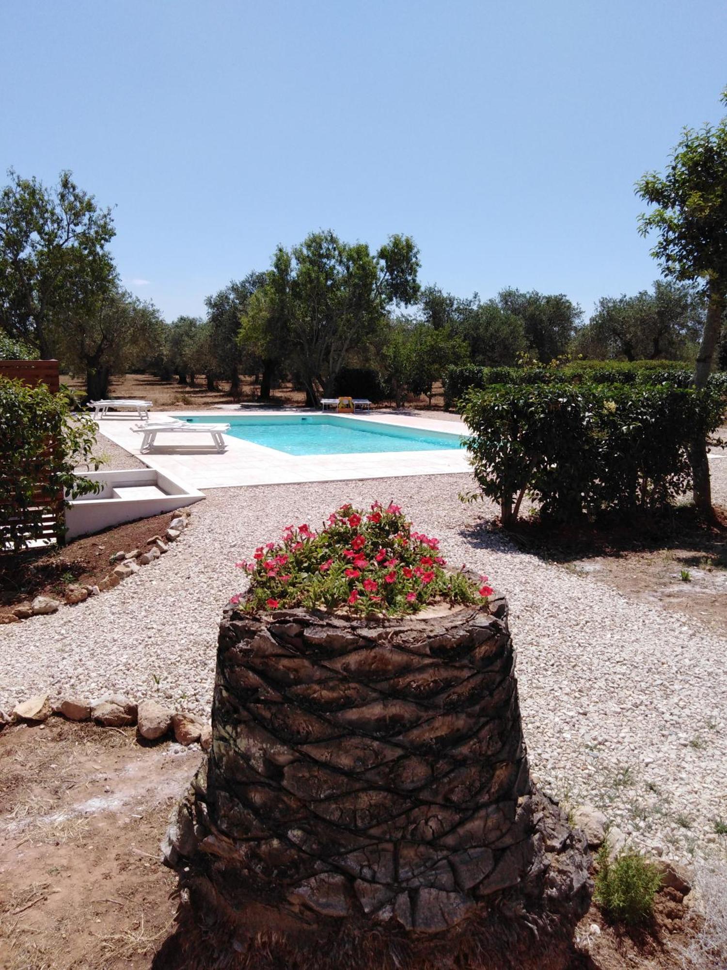 Villa La Rucchetta 알게로 외부 사진