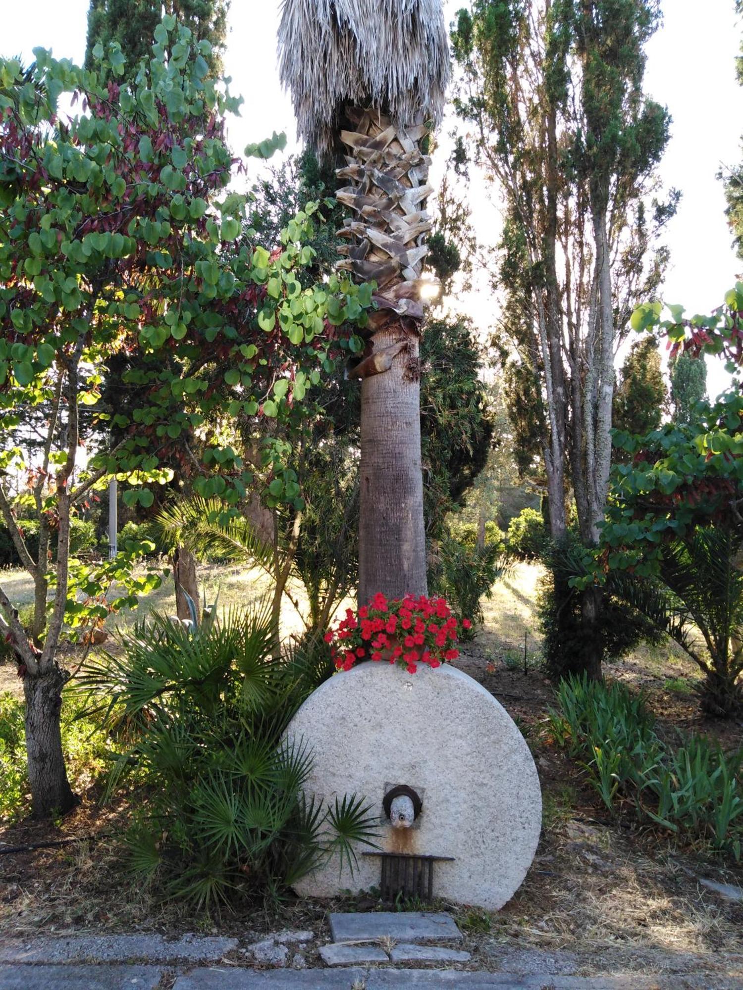 Villa La Rucchetta 알게로 외부 사진
