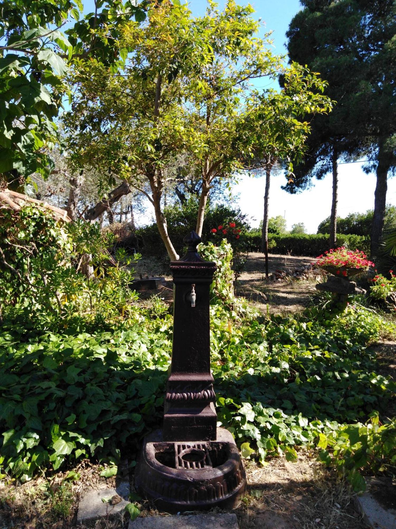 Villa La Rucchetta 알게로 외부 사진